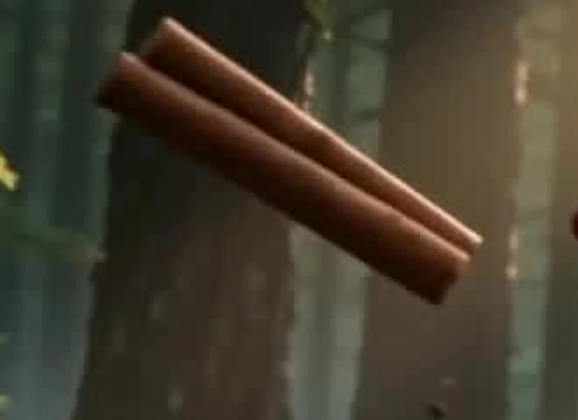Detalle de canela en el video oficial